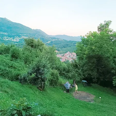 Sunnyhill *
